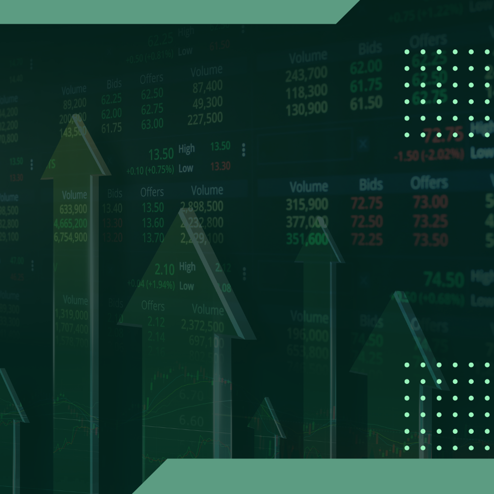 Executive Portfolio Manager