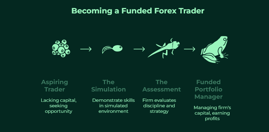 Forex trading